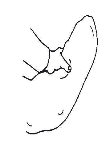 Eine Hand formt ein großes, bogenförmiges Kissen, das in einer ruhigen Umgebung liegt. Es handelt sich um ein einfaches Strichzeichnung ohne Hintergrunddetails.