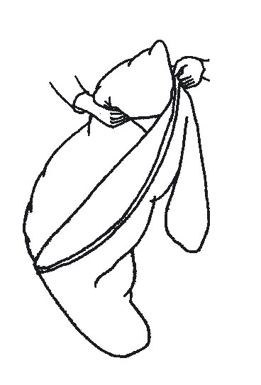 Eine Hand hält ein längliches Kissen, während ein Bezug darauf gezogen wird. Die Darstellung erfolgt als einfache Schwarz-Weiß-Linienzeichnung, die den Vorgang illustriert.